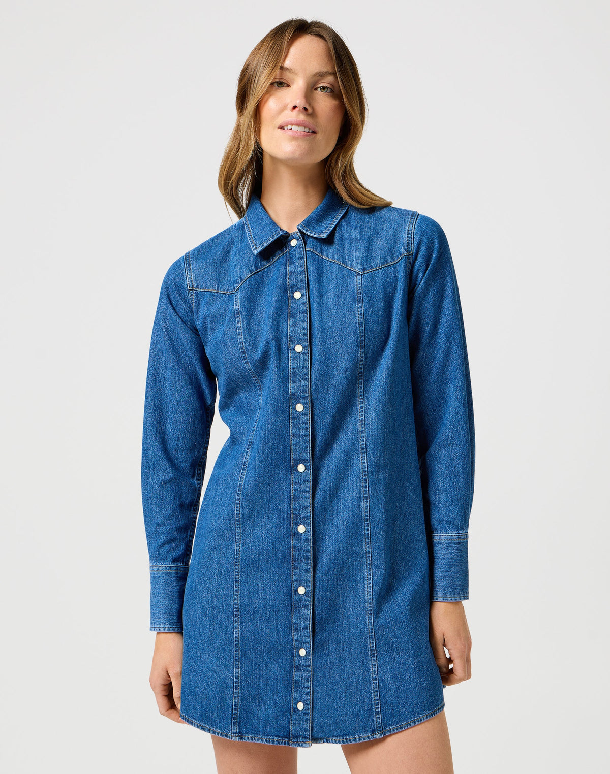 Reg Denim Dress in Petrified