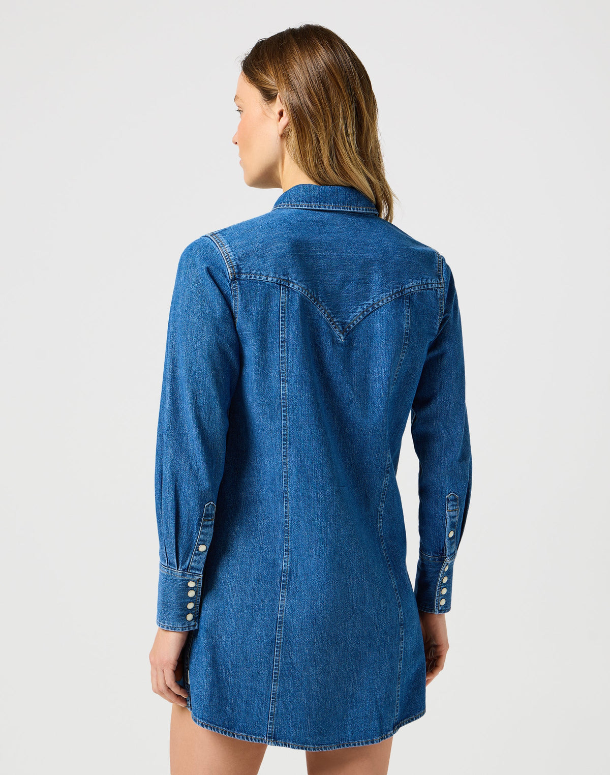 Reg Denim Dress in Petrified