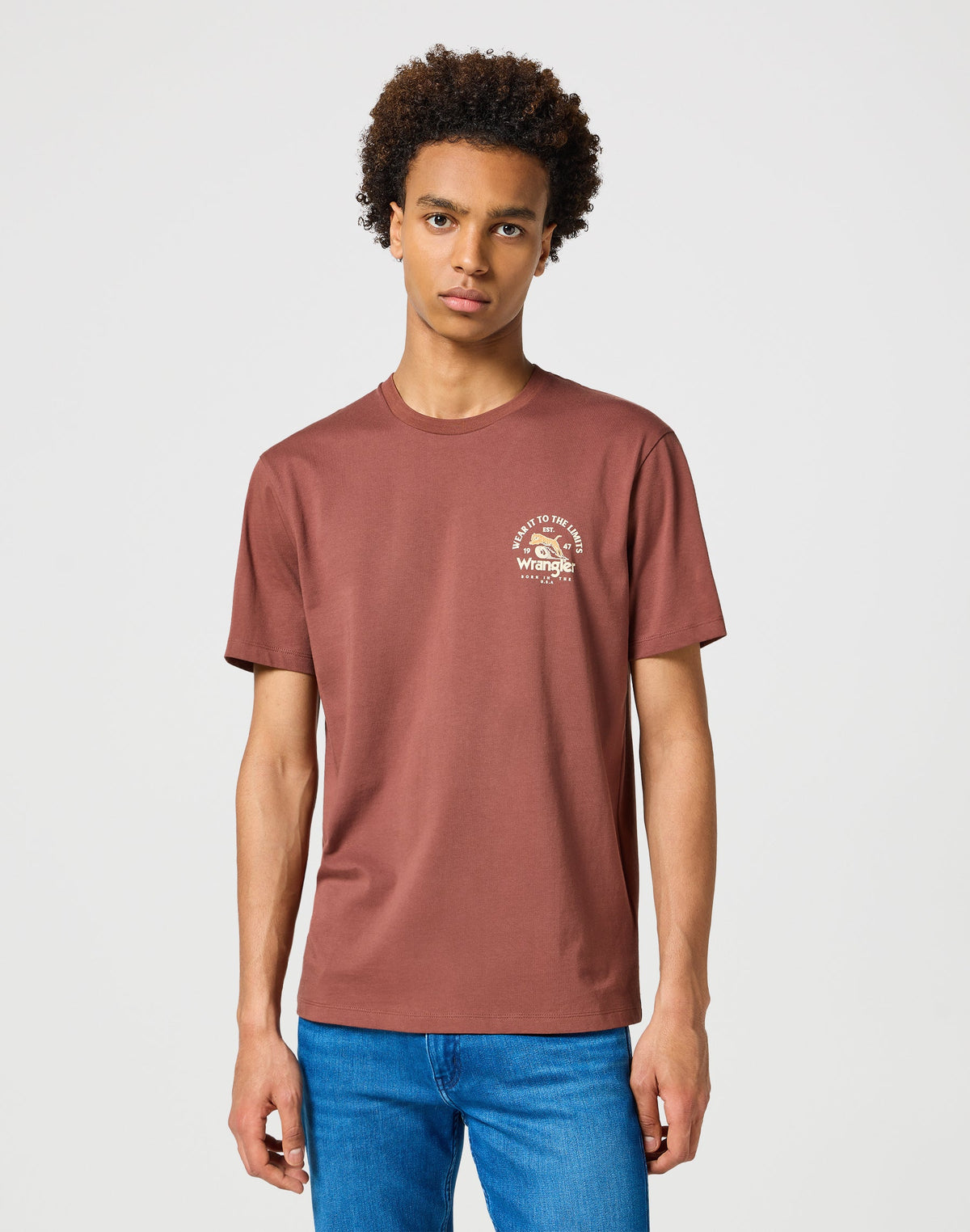 Graphic Tee in Root Beer