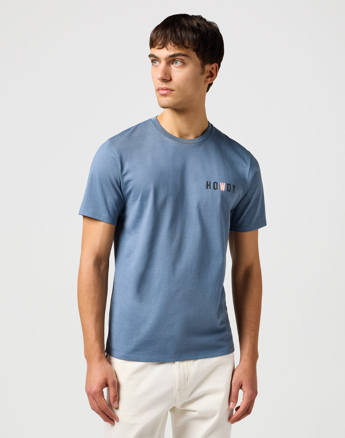 Small Graphic Tee in Dusty Blue