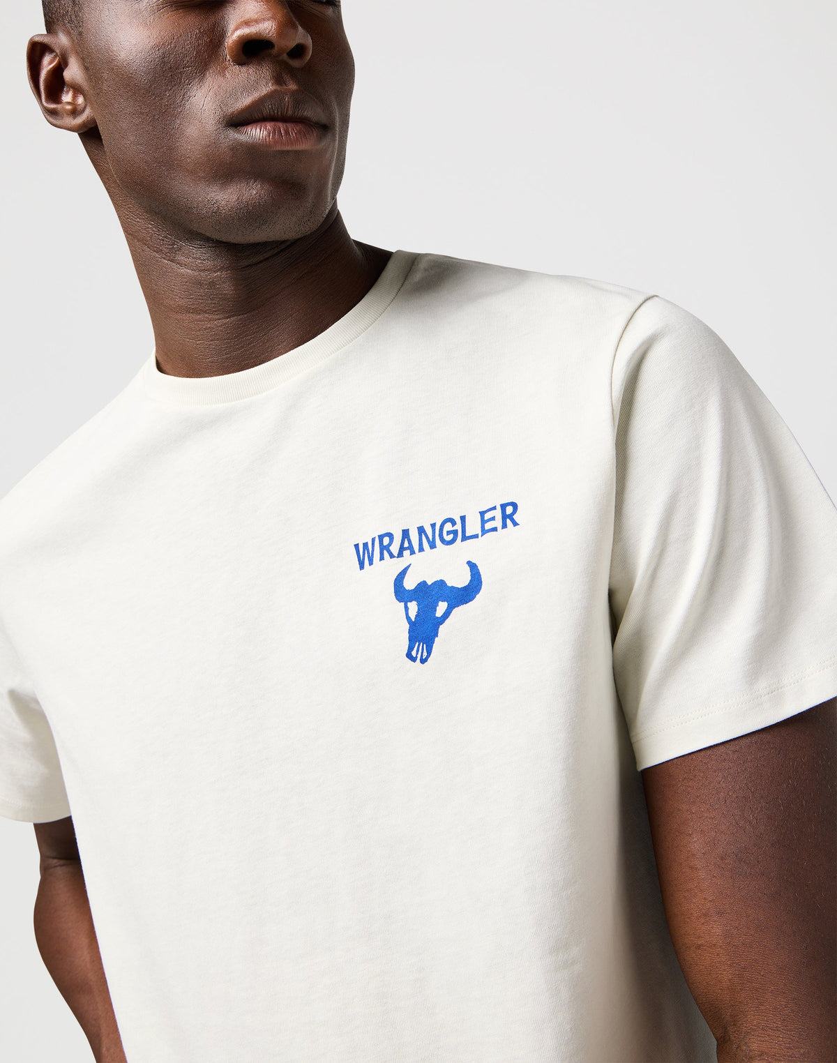 Graphic Tee in Vintage White