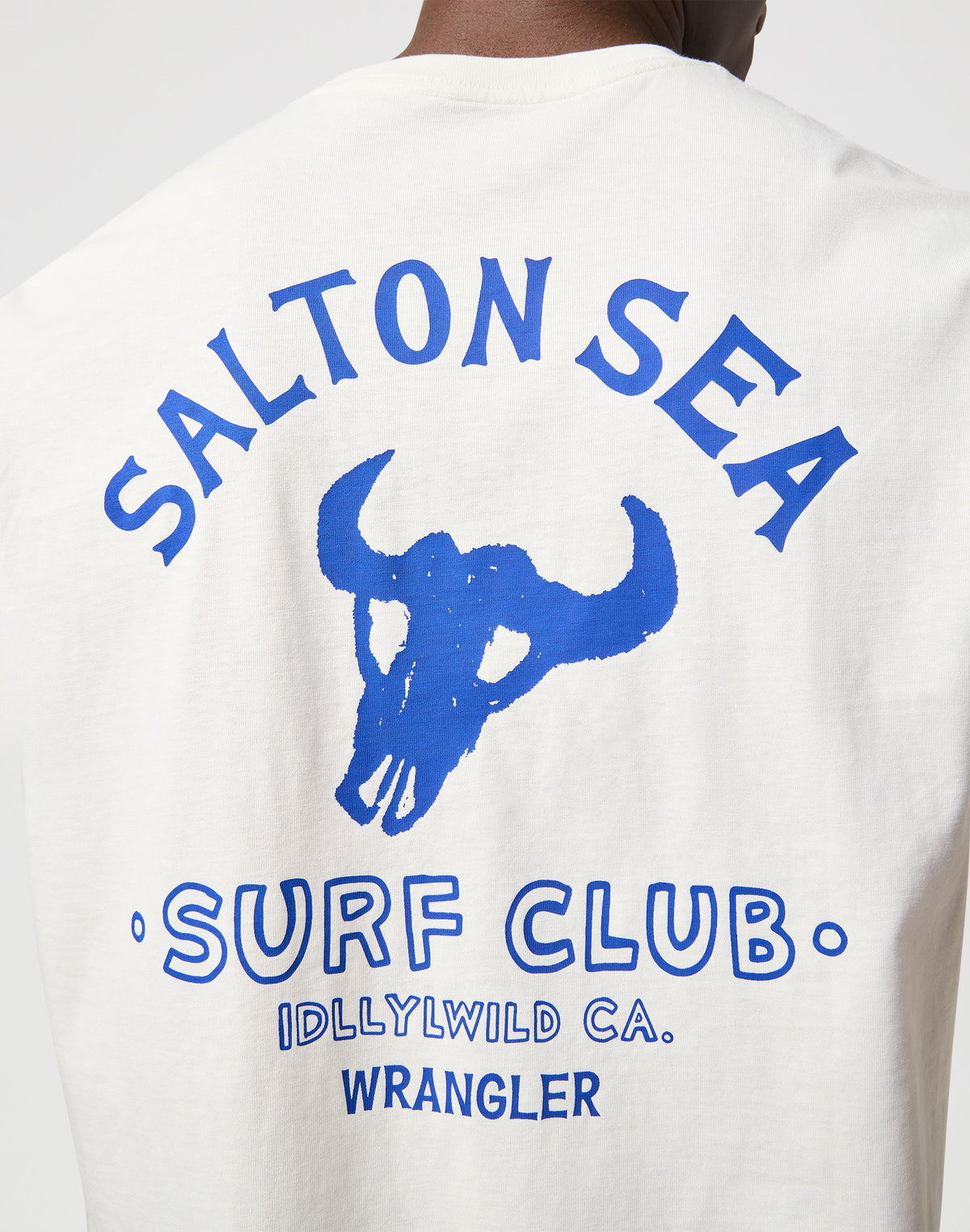 Graphic Tee in Vintage White
