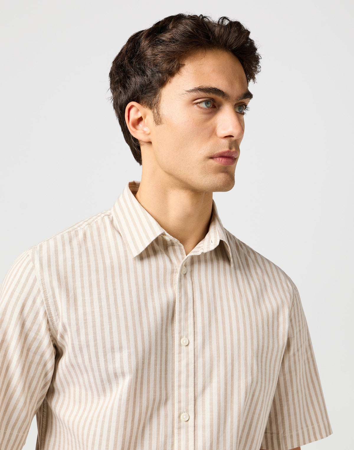 Ss Shirt in Tan Stripe