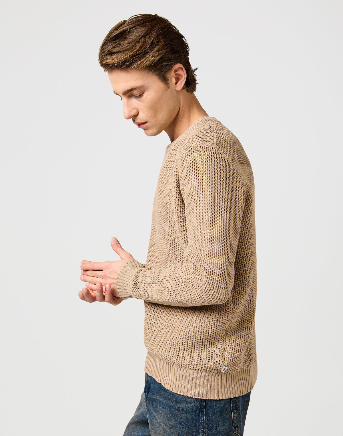 Crewneck Sweater in Timberwolf