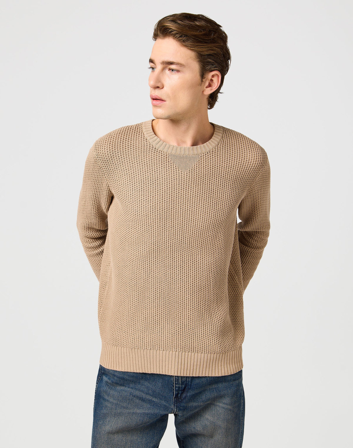 Crewneck Sweater in Timberwolf