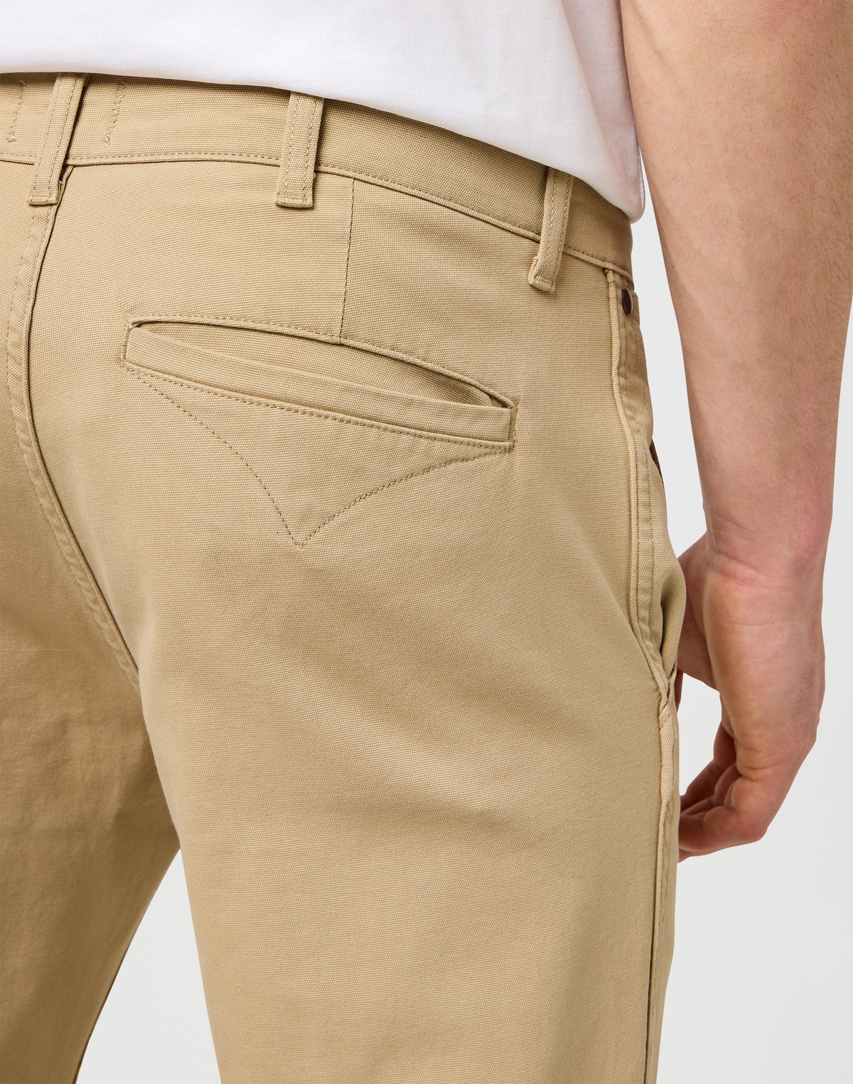 Regular Chino in Cornstalk