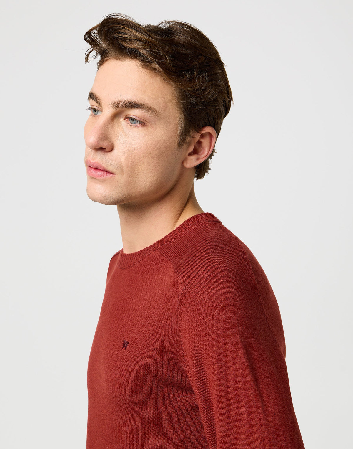 Knit Sweater in Fired Brick