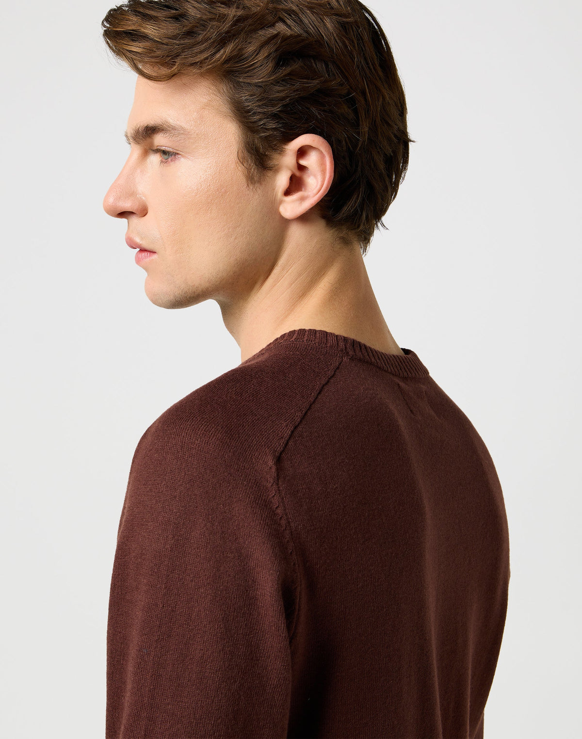 Knit Sweater in Mahogany
