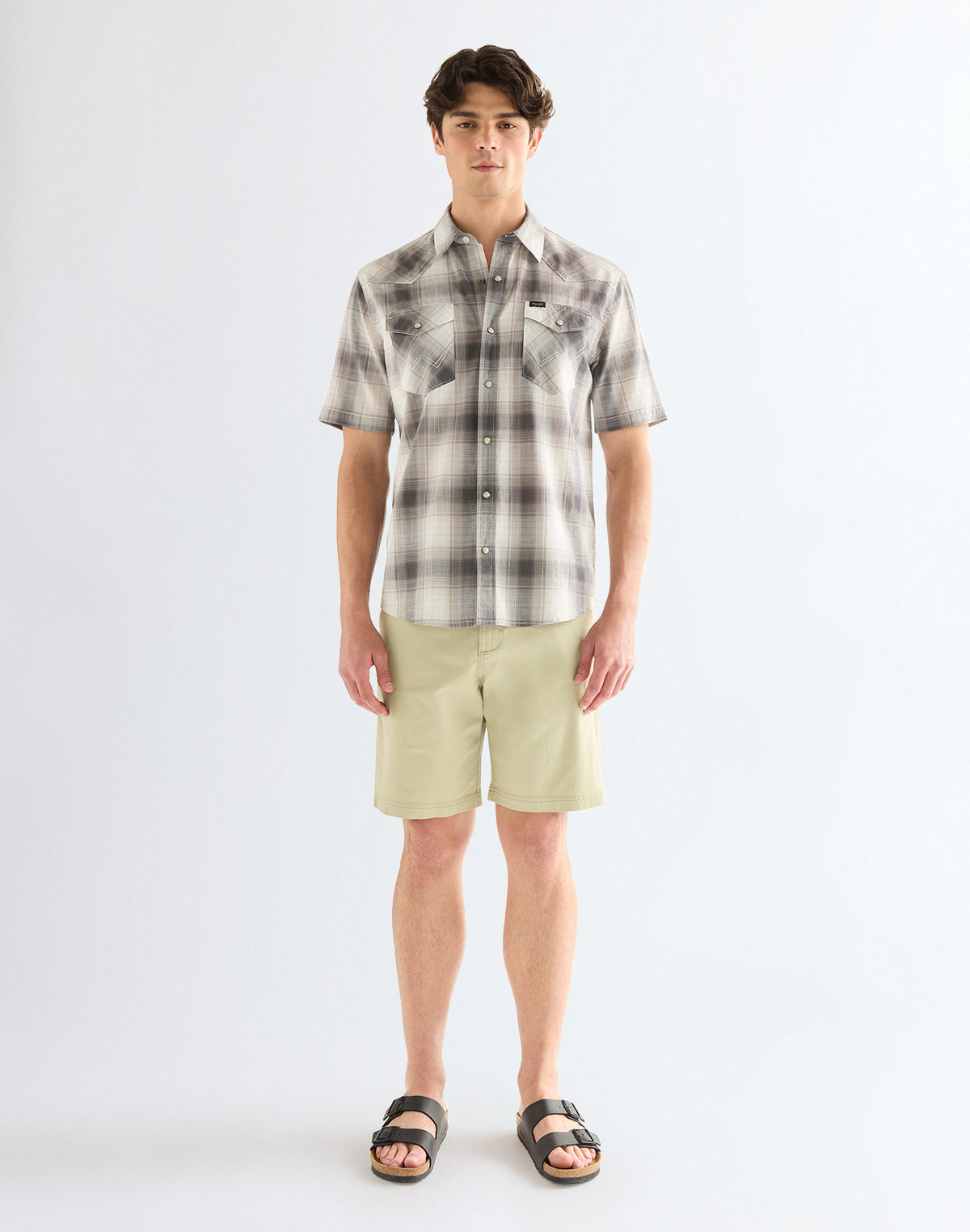 Chino Shorts in Elm