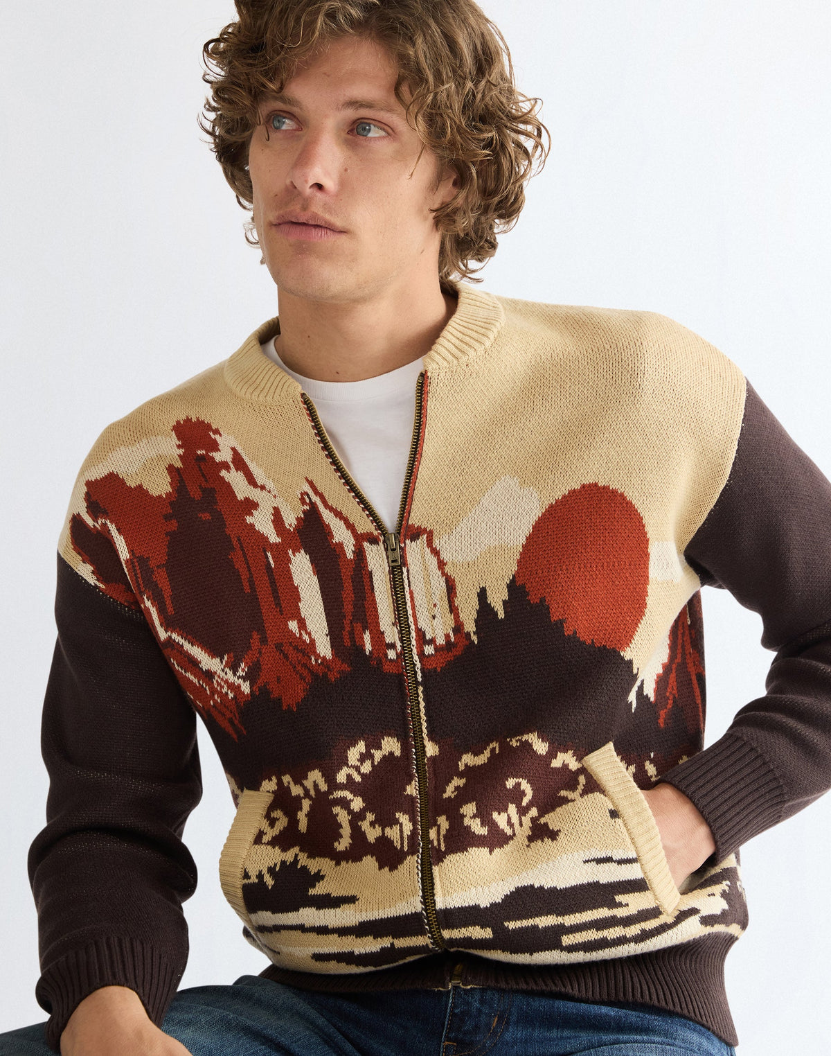 Strickjacke Full Zip in Desert Scenic
