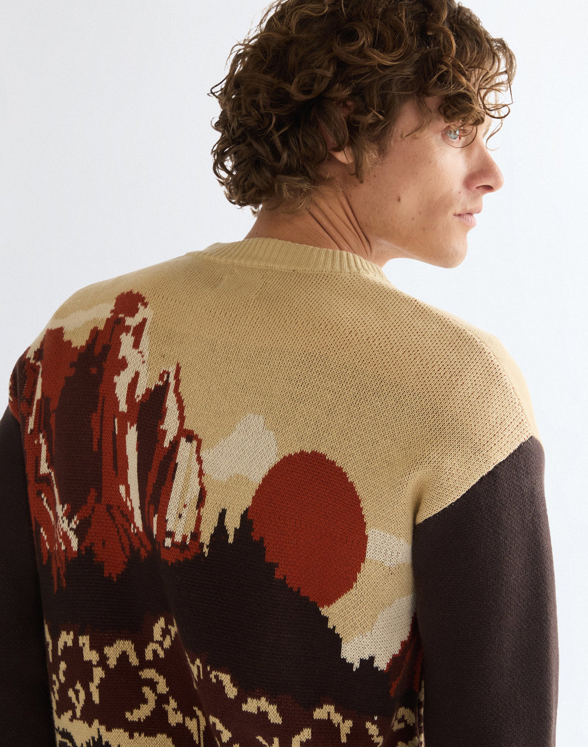 Strickjacke Full Zip in Desert Scenic