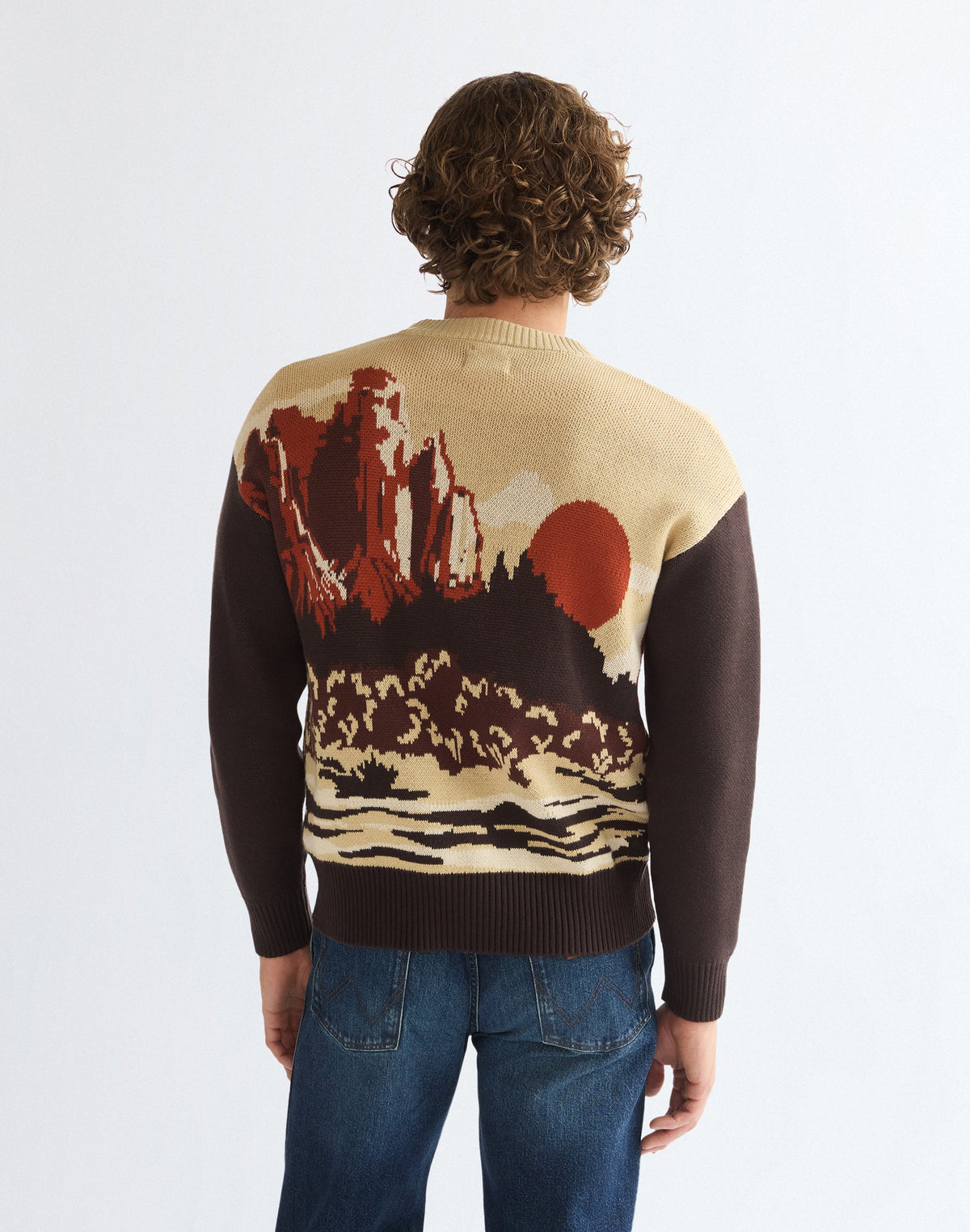 Strickjacke Full Zip in Desert Scenic