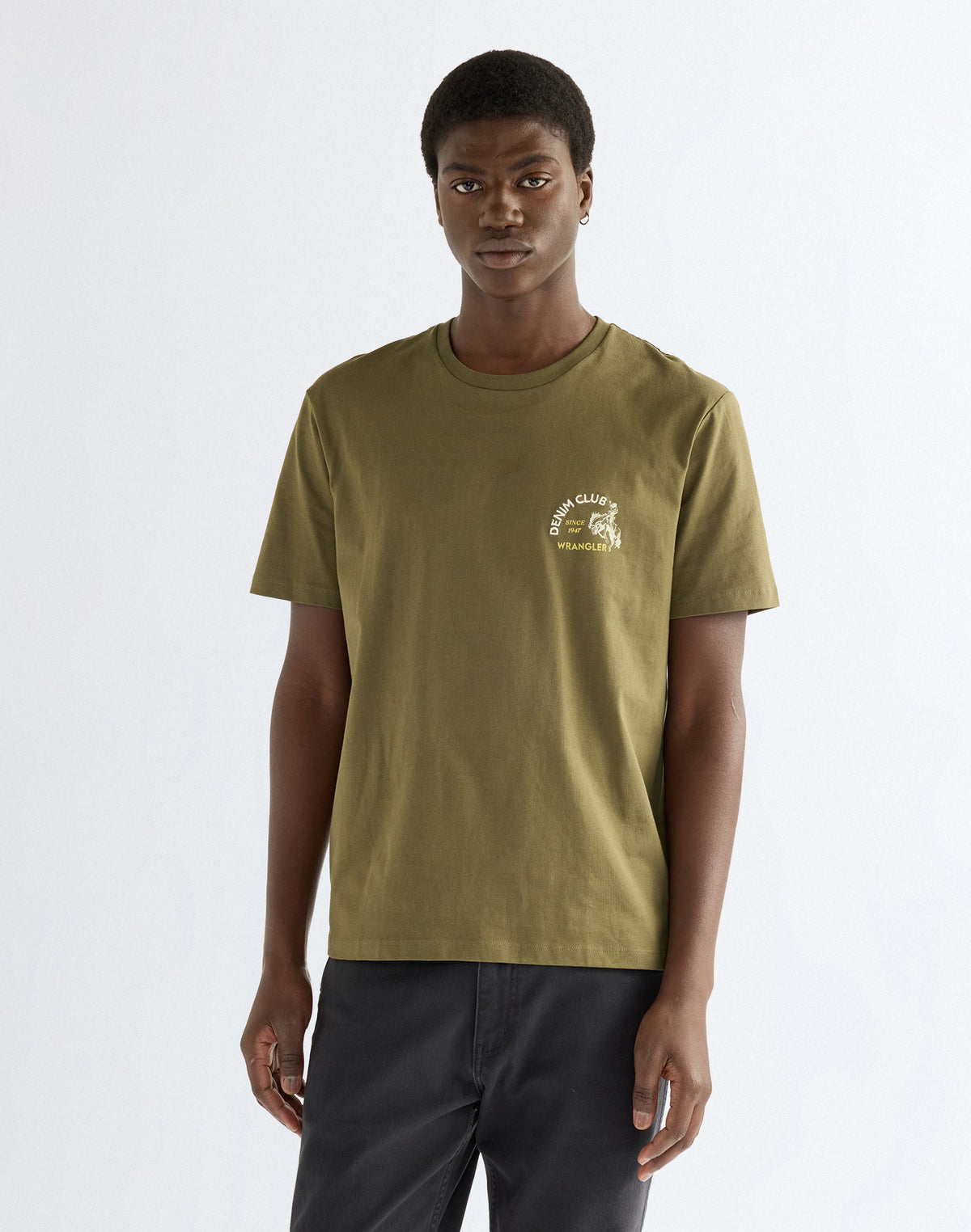 T-Shirt Small Graphic in Olive Night