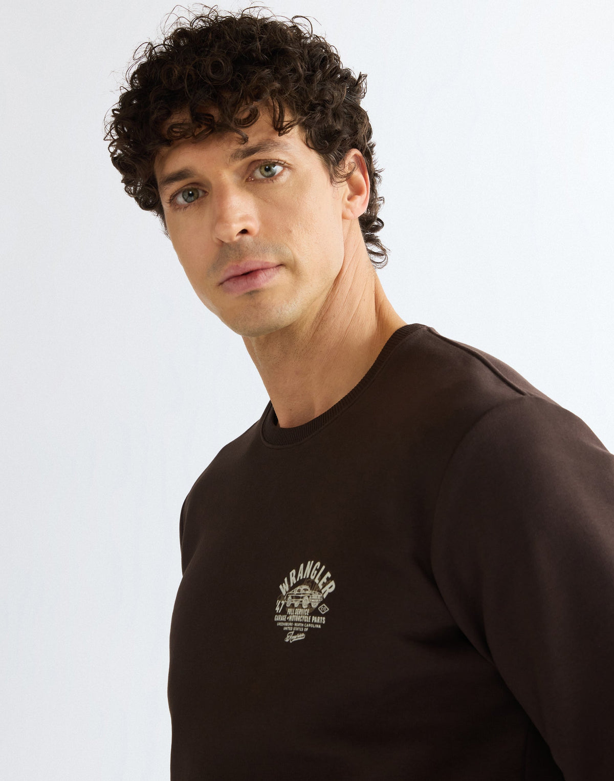 Sweatshirt Small Graphic in Chocolate Torte