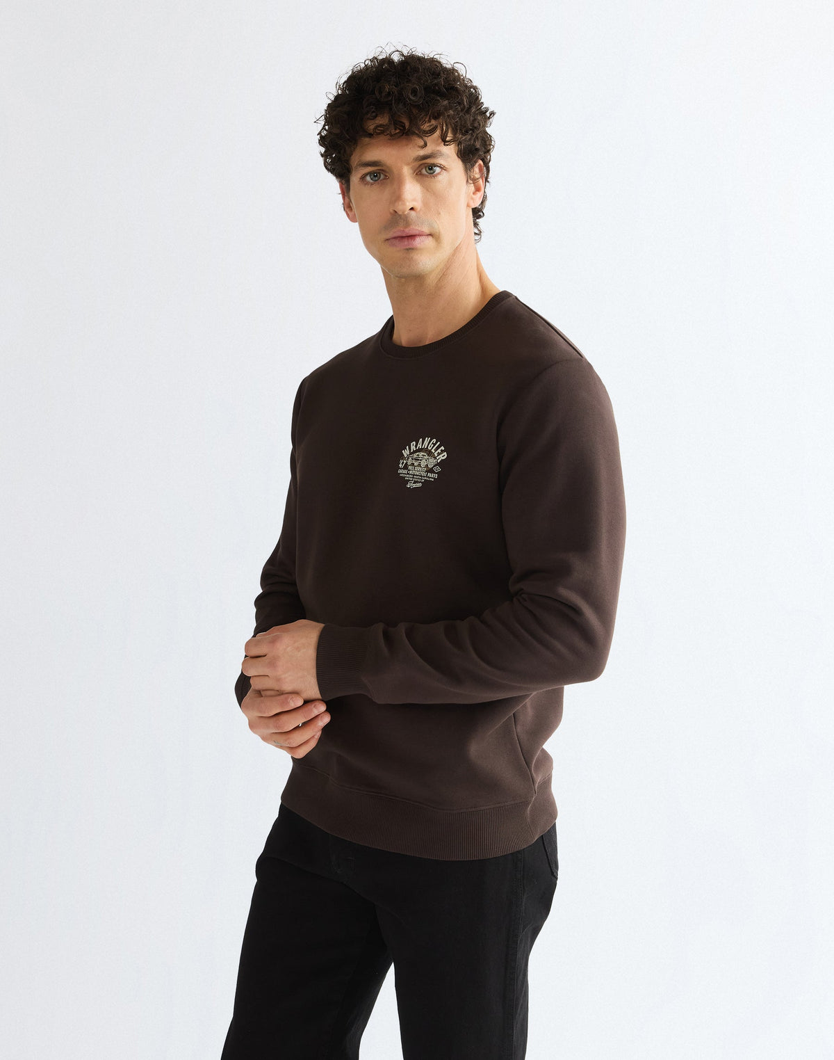 Sweatshirt Small Graphic in Chocolate Torte