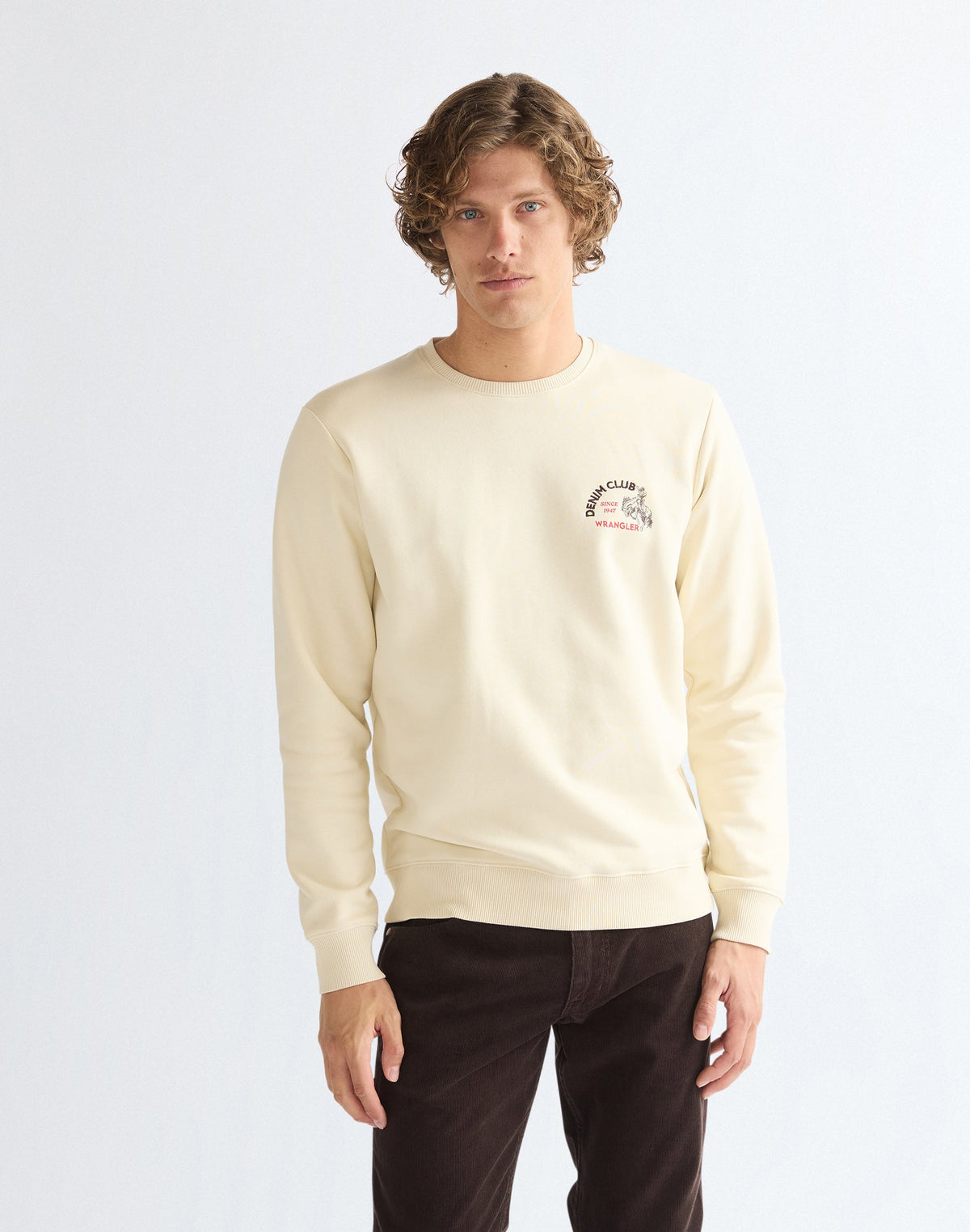 Sweatshirt Small Graphic in Almond Milk