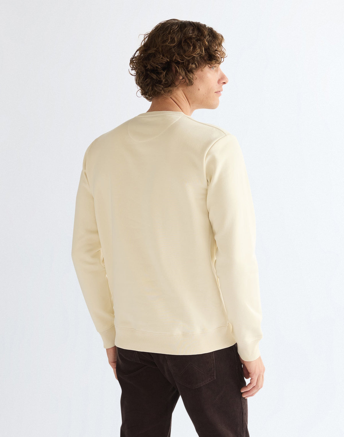Sweatshirt Small Graphic in Almond Milk