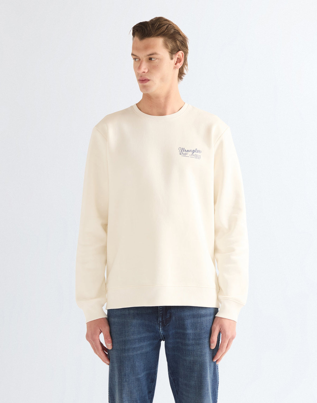 Sweatshirt Graphic Crew in Egret