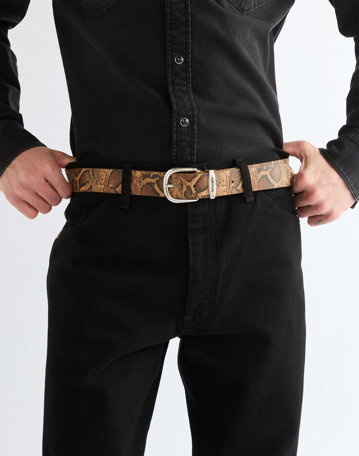 Gürtel Snake in Brown