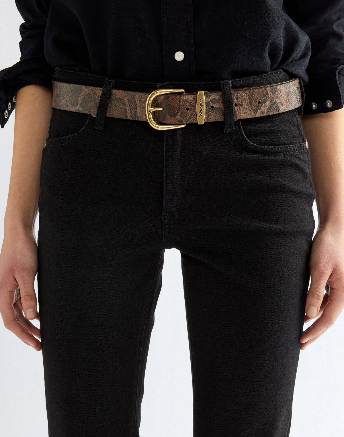 Gürtel Snake in Dark Brown