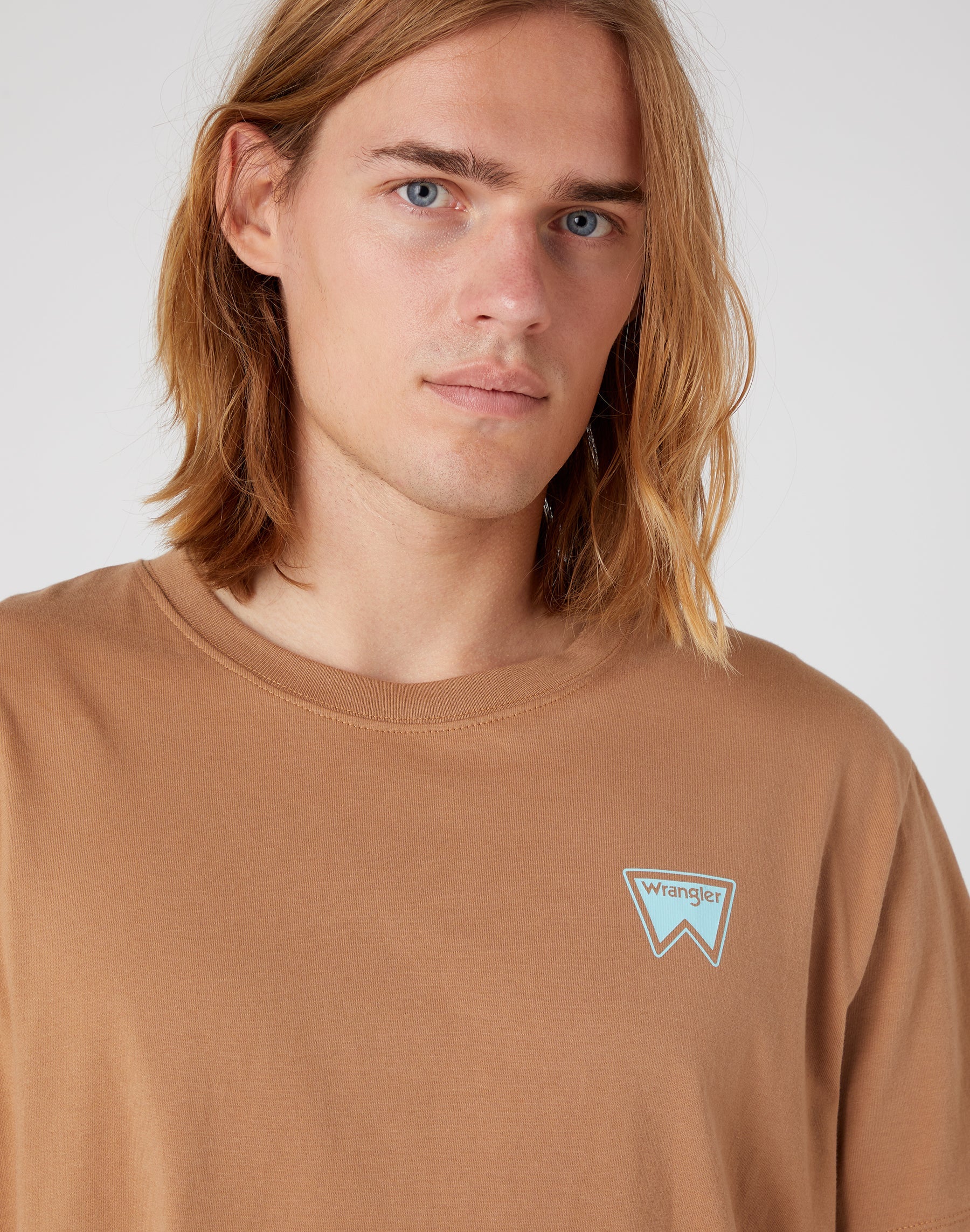 Graphic Tee in Burro Brown