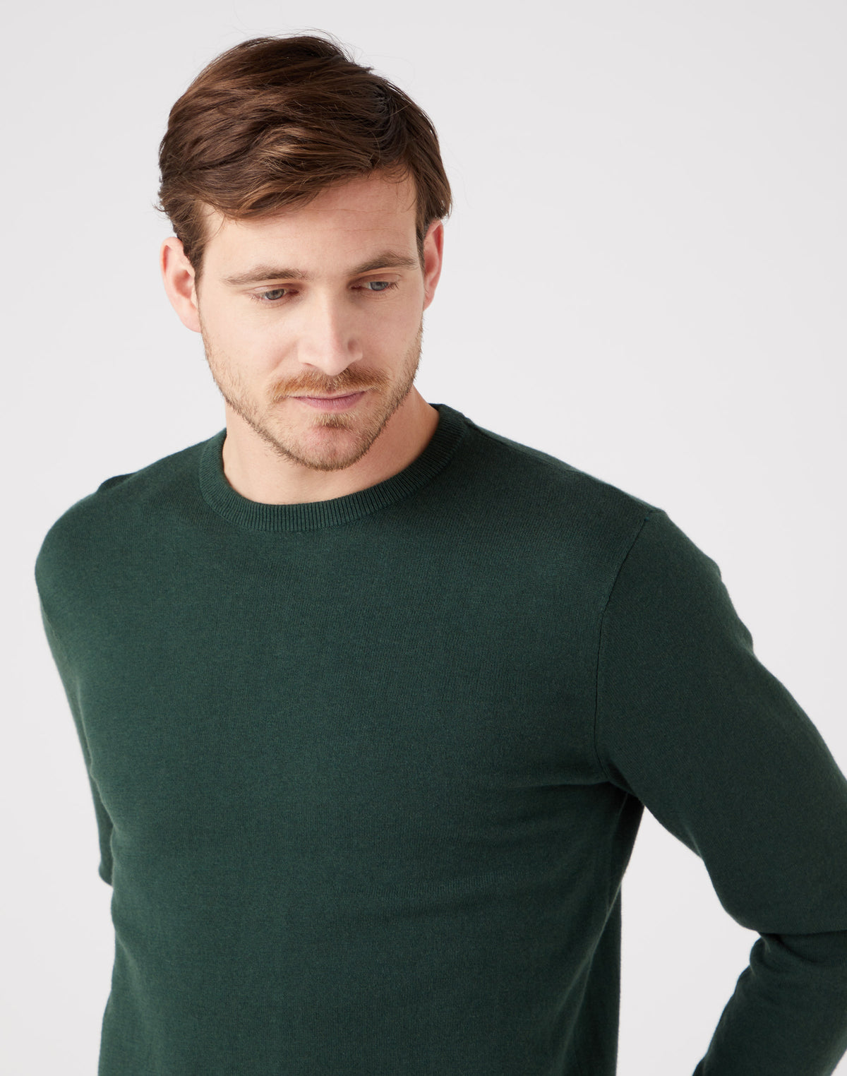Crewneck Knit in Sycamore Green
